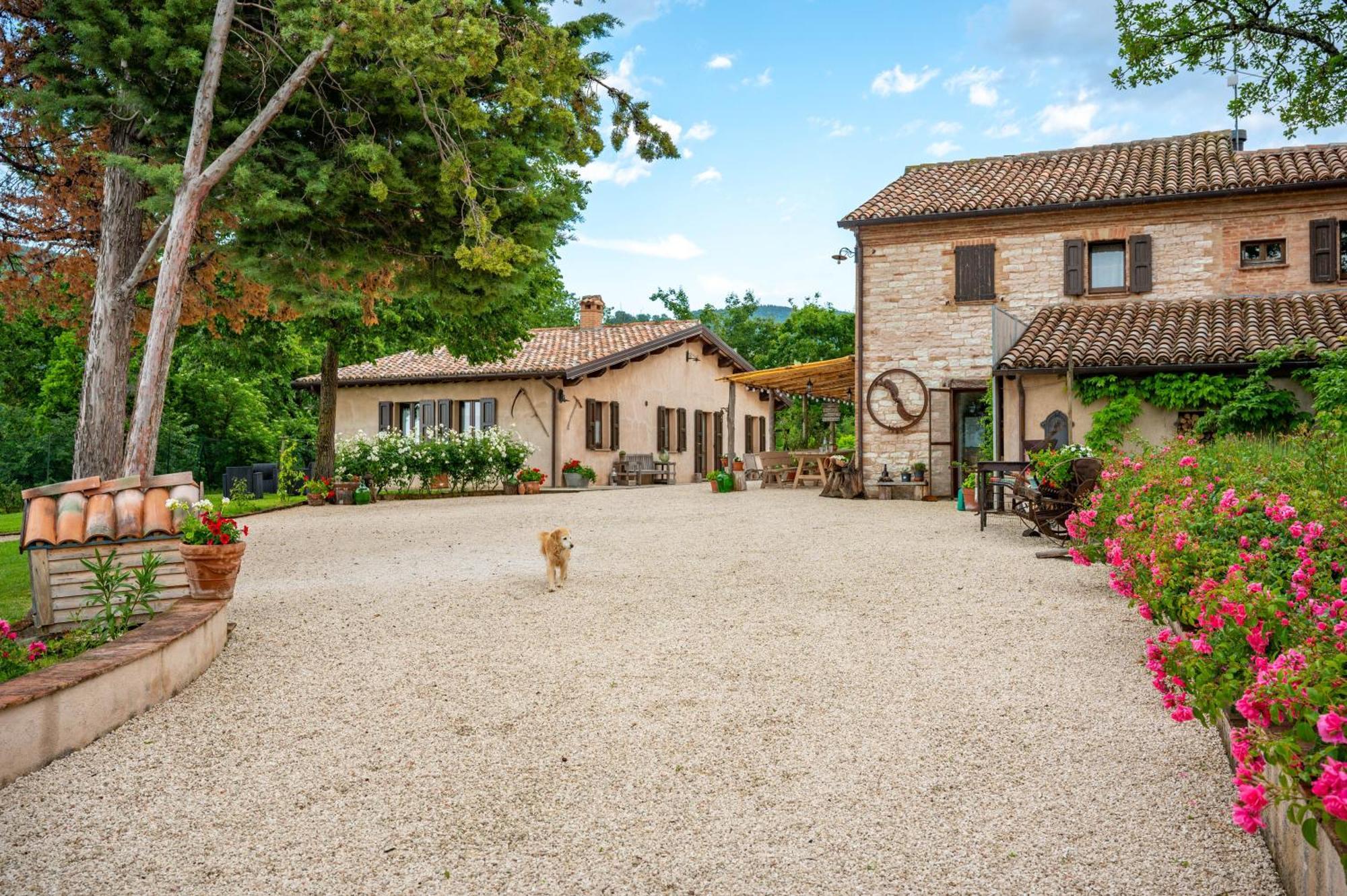 Agriturismo Il Castellaro Sassoferrato Экстерьер фото